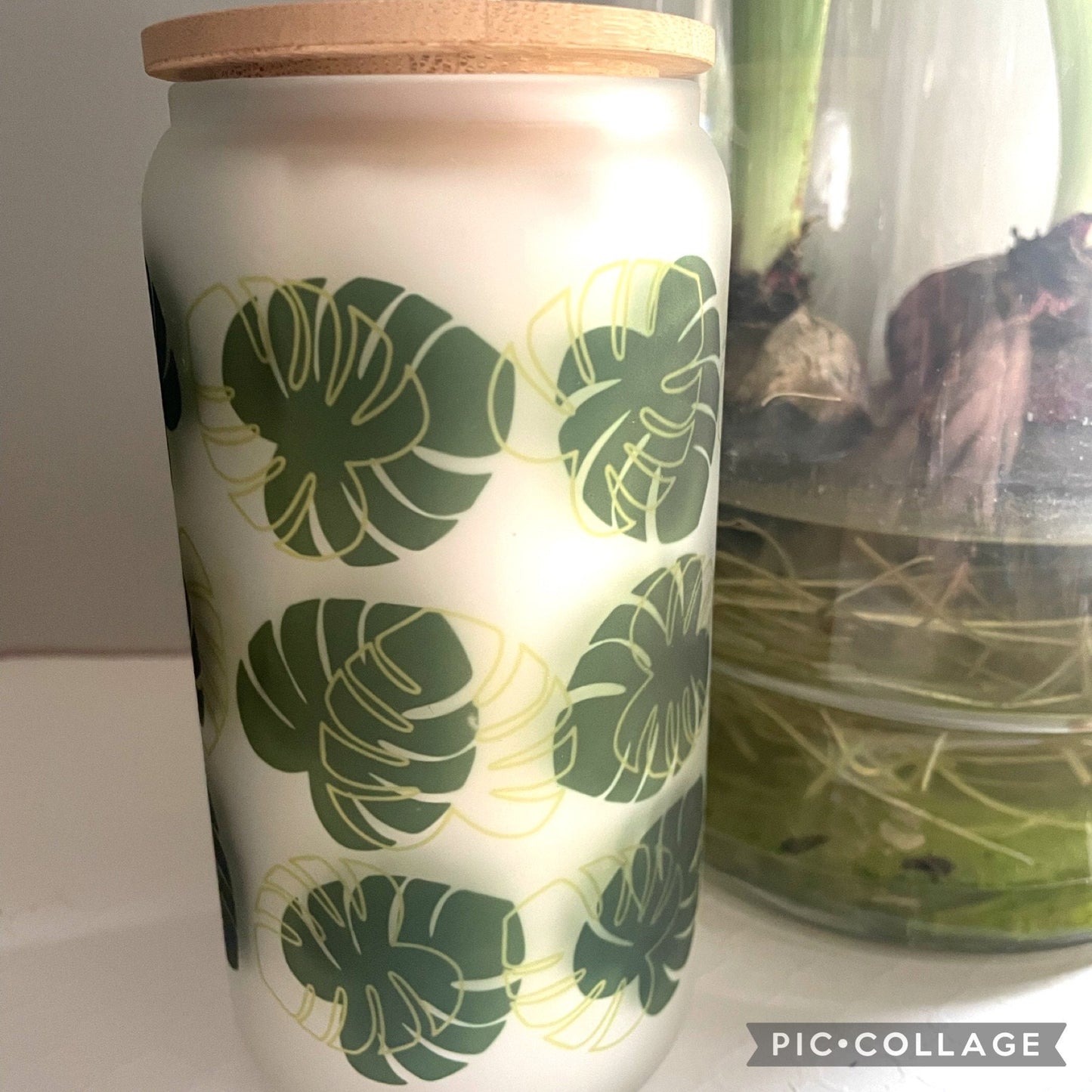 Glass Can Monstera Tumbler, Glass cup with straw,Plant Lover tumbler 16oz, Gift for Mother’s Day, Gift for Plant Mom, Birthday Gift for Her